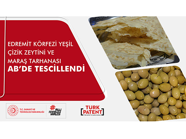 Edremit Körfezi Yeşil Çizik Zeytini ve Maraş Tarhanası Avrupa Birliği'nde Tescillendi