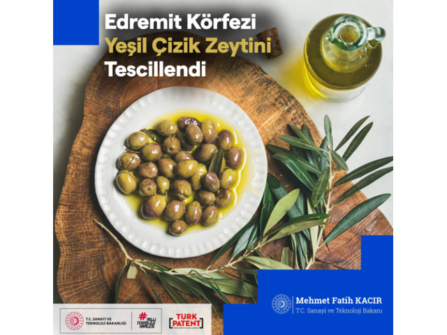 Edremit Körfezi Yeşil Çizik Zeytini ve Maraş Tarhanası Avrupa Birliği'nde Tescillendi