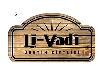 Lİ-VADİ